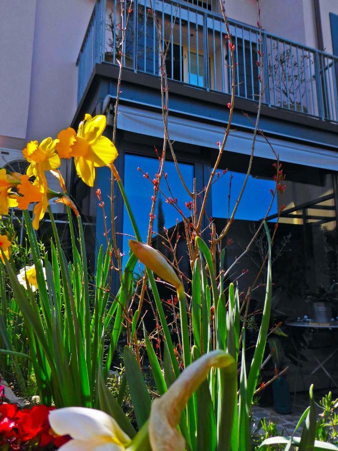 Fiorenzuola Bed & Breakfast Fiorenzuola di Focara Екстериор снимка